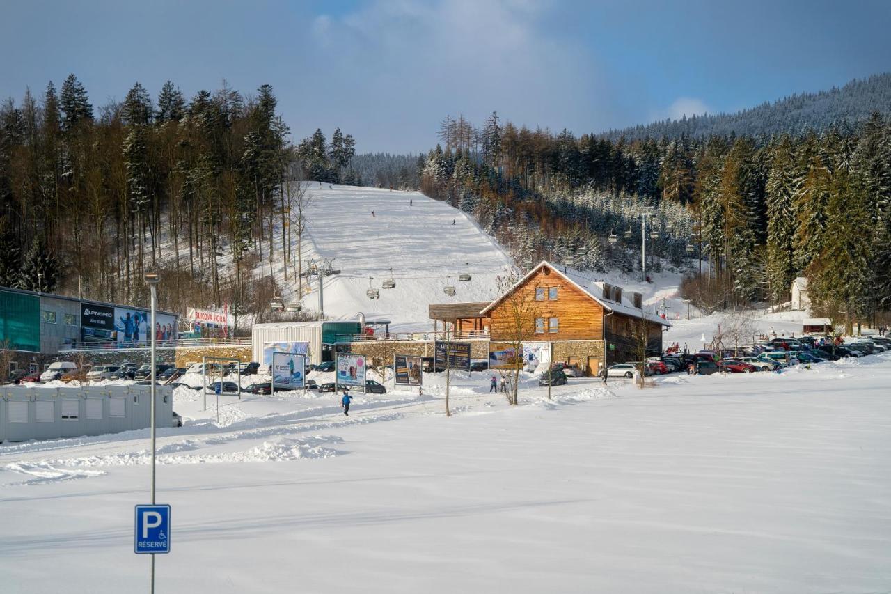 Apartman U Sucheho Buku - Bukova Hora Červená Voda Exterior foto